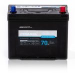 DYNAMAX BLUELINE 70 Asia P / – Obrázok 2