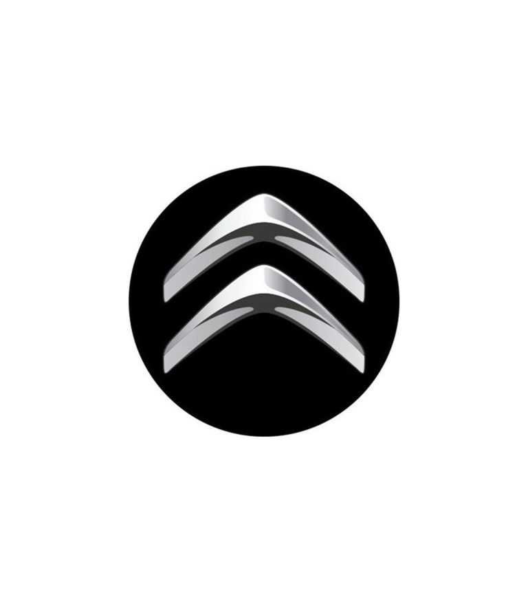 4CARS 3D CAR LOGO CITROEN
