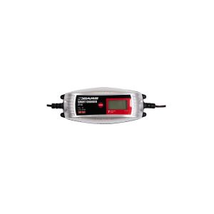 4CARS Inteligentna rychlonabijacka auto baterii 6-stupnov 4A 12/6V